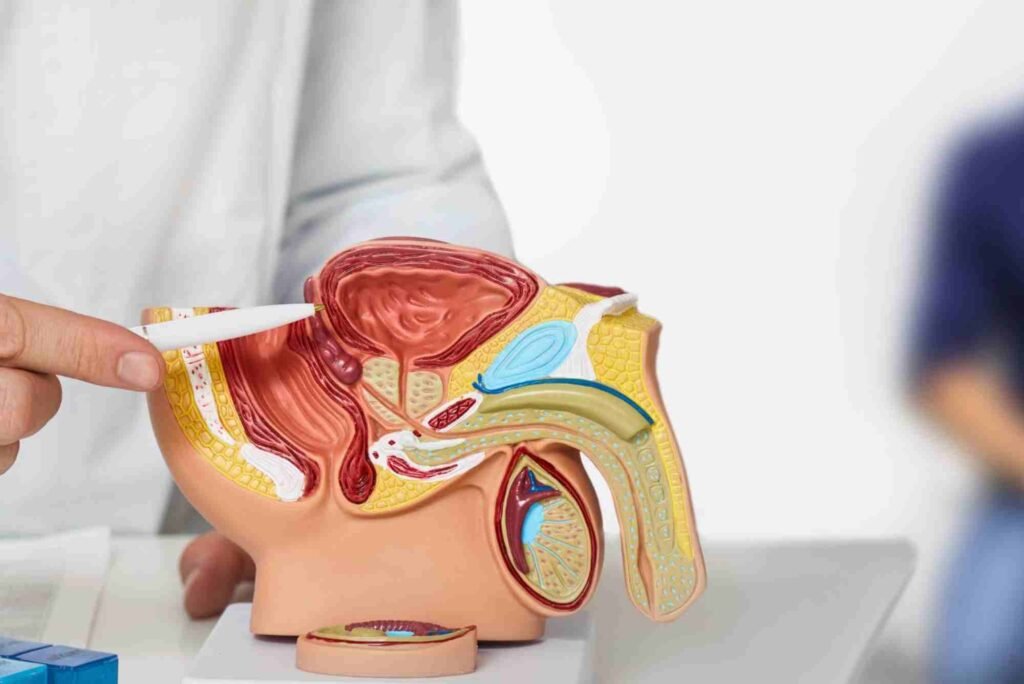 How Lifestyle Adjustments Can Help BPH Symptoms